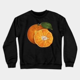 Vegan Orange Art Design Half Sliced Orange Crewneck Sweatshirt